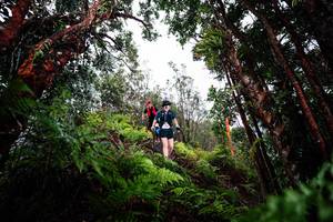 BIB: 
                            <button type="button" onclick="openModal(26203543)" class="btn btn-primary btn-sm float-right btn-popup" data-toggle="modal" data-target=".modal-high-quality">
                        <i class="fas fa-shopping-cart"></i> Add to Cart
                    </button>
                                            <button type="button" onclick="isThisMe(26203543, true)" class="btn btn-success btn-sm float-right btn-popup btn-isme hidden" data-toggle="tooltip" data-placement="bottom" title="นี่คือรูปของคุณใช่ไหม คลิกที่นี่เพื่อเอาเข้าอัลบั้ม">
                        <i class="fas fa-plus"></i> Add to album
                    </button>
                    <button type="button" onclick="isThisMe(26203543, false)" class="btn btn-warning btn-sm float-right btn-popup btn-isnotme hidden">
                        <i class="fas fa-ban"></i> Remove from album
                    </button>